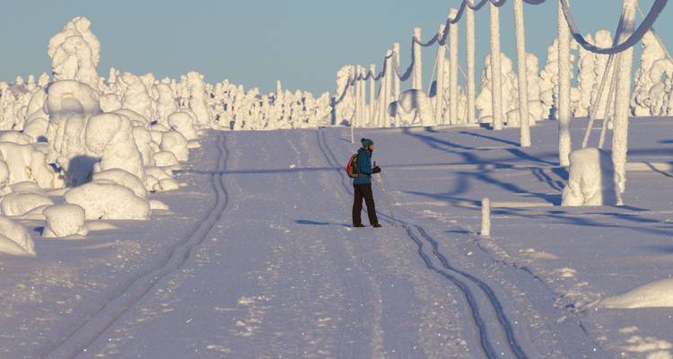 Laponia ¡7 días en la ciudad de Papá Noel en el Círculo Polar Ártico! - Nordic Unique Travels 7
