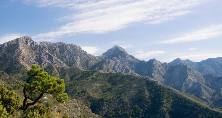 Promenade dans les villages blancs d'Andalousie - Exodus Adventure Travels 9