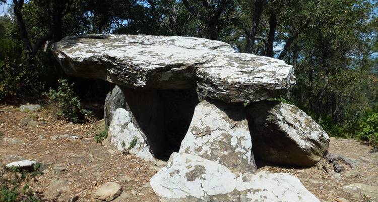 Una antigua estructura de dolmen de piedra se encuentra en un claro del bosque.