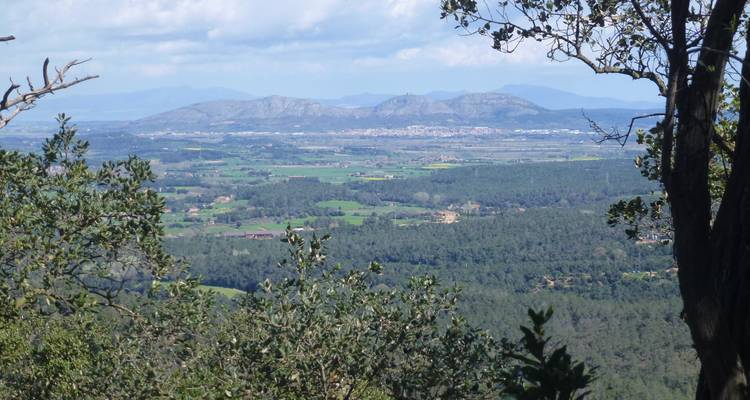 Valle rural expansivo y pueblo lejano visto desde un punto de vista en una montaña boscosa.