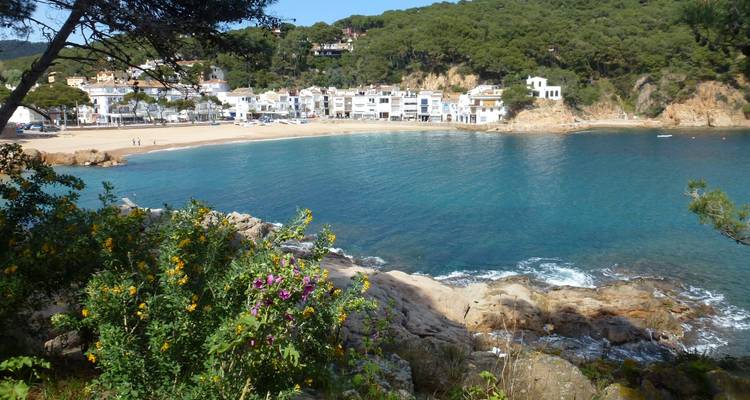 La encantadora bahía de arena de Calella de Palafrugell rodeada de acantilados rocosos y arbustos en flor.