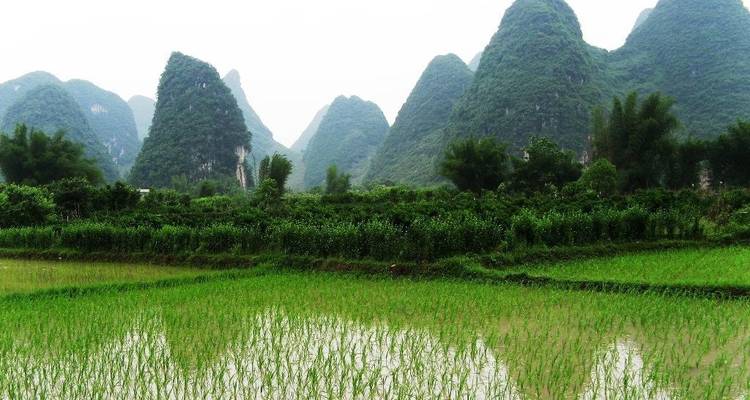 China Encompass 16 días: Pekín, Shanghai, Xian, Chengdu, Tres Gargantas, Yangshuo, Hong Kong - Silk Road Trips 1