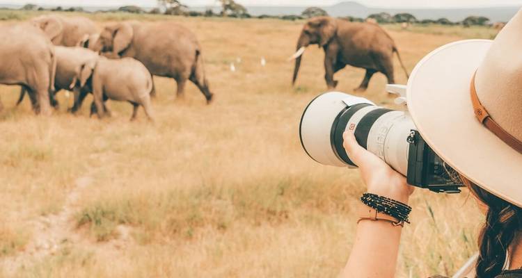 Safari au Kenya et en Tanzanie - Contiki 1