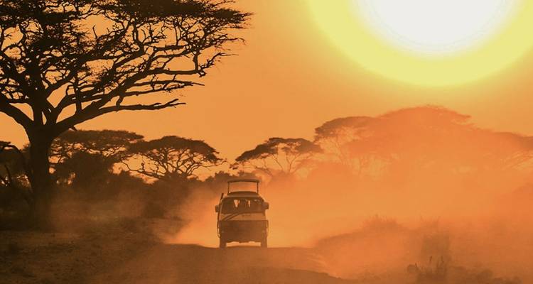 Le véhicule de safari soulève la poussière orange sous un soleil couchant immense et les silhouettes d'acacias.