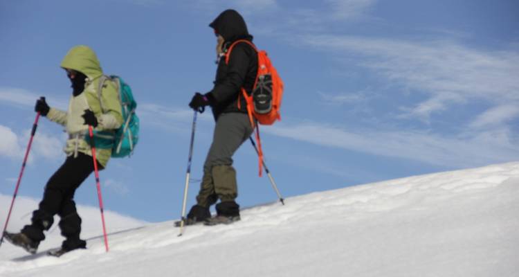 Senderismo Mardi Himal - World Himalayan Destination Pvt Ltd 1