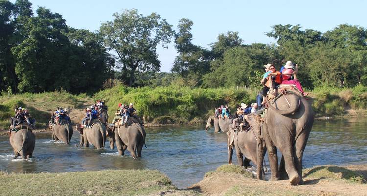 Circuito de Katmandú a Chitwan - World Himalayan Destination Pvt Ltd 1