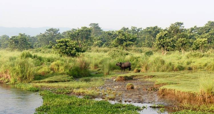 Circuito de Katmandú a Chitwan - World Himalayan Destination Pvt Ltd 3