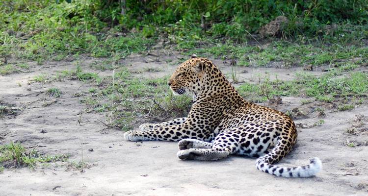 7 Day Gorillas, Wildlife, Lake Bunyonyi and Chimp Trek - Bamboo Ecotours 4