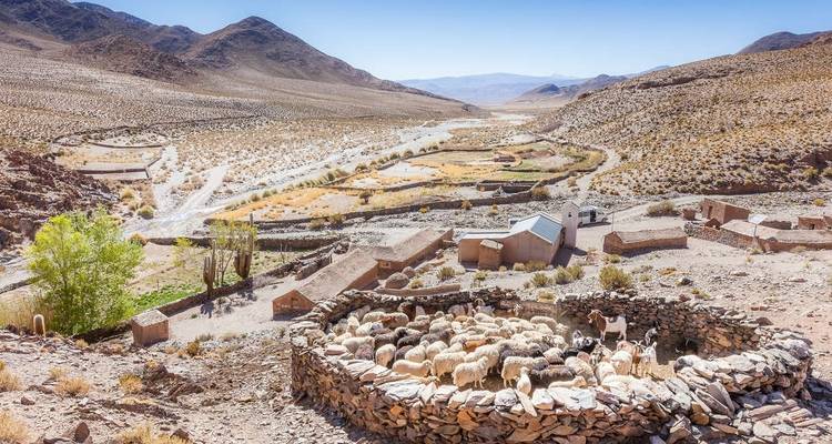 Vins et paysages du nord- ouest de l'Argentine - Explore! 9