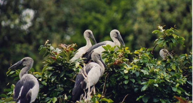 Viaje a Kerala especial mujeres - Holidays At 3