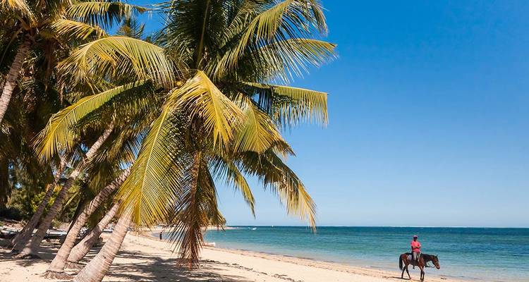 Personne montant à cheval le long d'une plage tropicale bordée de palmiers.
