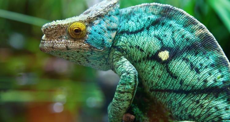 Madagascar Adventure - Intrepid Travel 8