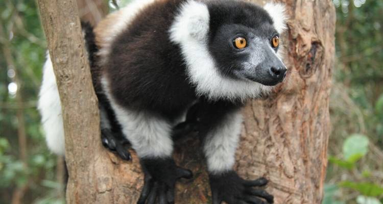 Madagascar Adventure - Intrepid Travel 6