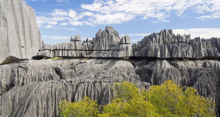 Madagascar Baobabs & Beyond - Intrepid Travel 6