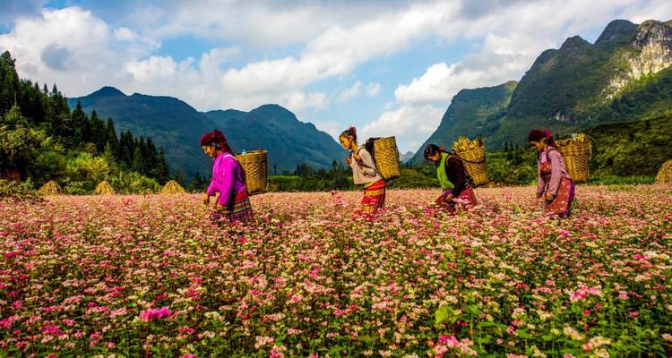 5 - día privado Ha Giang aventura senderismo con estancia en familia y ecolodge - Crossing Vietnam Tour 6