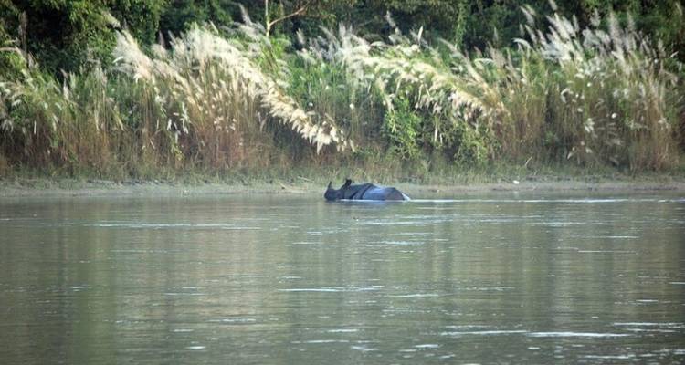 Paquete turístico de lujo de 10 días - Dhulikhel Katmandú Chitwan - E.H.T Travel 7