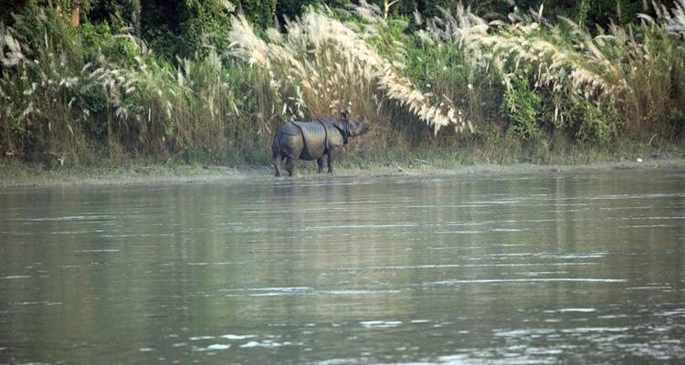 Paquete turístico de lujo de 10 días - Dhulikhel Katmandú Chitwan - E.H.T Travel 10