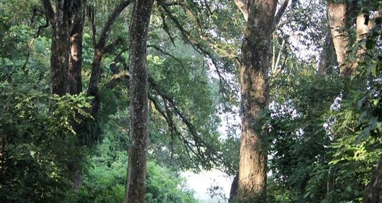Paquete turístico de lujo de 10 días - Dhulikhel Katmandú Chitwan - E.H.T Travel 8