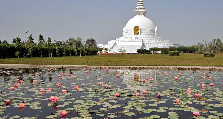 Pagode de la Paix Mondiale et nénuphars dans un bassin.