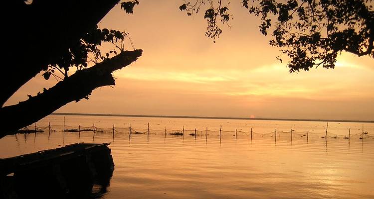Amazing Kerala - Panda Experiences 9