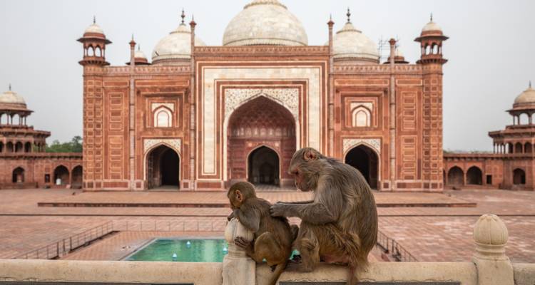 5 jours d'excursion dans le Triangle d'Or en voiture privée - Avtar India Tours 1