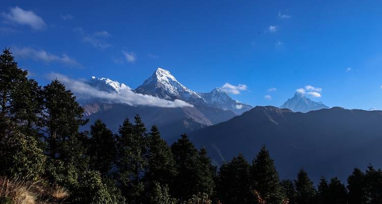 Ghorepani Poonhill Trek 08 jours | Trek facile au Népal - Scenic Nepal Treks & Expedition Pvt. Ltd 10