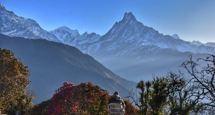 Ghorepani Poonhill Trek 08 jours | Trek facile au Népal - Scenic Nepal Treks & Expedition Pvt. Ltd 6