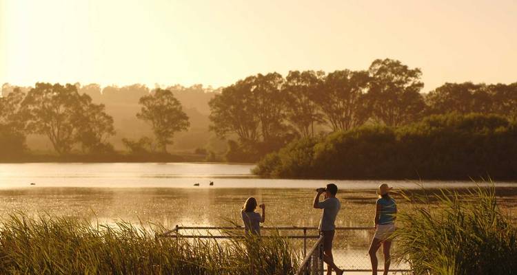 Menschen beim Vogelbeobachten an einem See bei Sonnenuntergang.