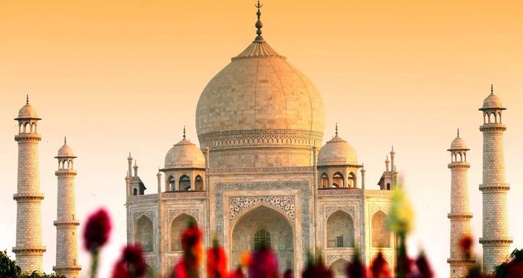 Super Saver Golden Triangle Tour - Taj Destination Tours  10