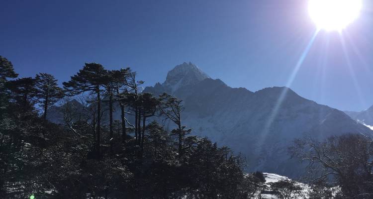 Mountain peak with snowy trees in the foreground under a bright sun.