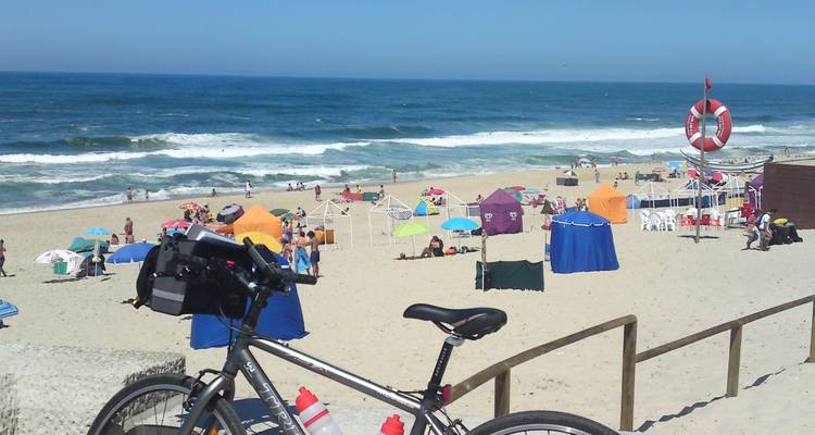 Escena duplicada de playa concurrida con sombrillas, salvavidas y bicicleta en primer plano.