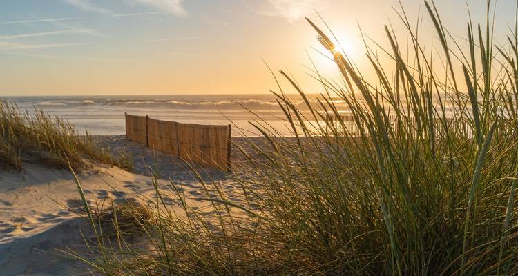 La dorada luz del atardecer se filtra entre las hierbas de las dunas en una tranquila playa del Atlántico.