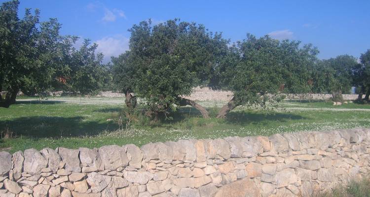 Self-Guided Cycling through Baroque Sicily - Exodus Adventure Travels 5