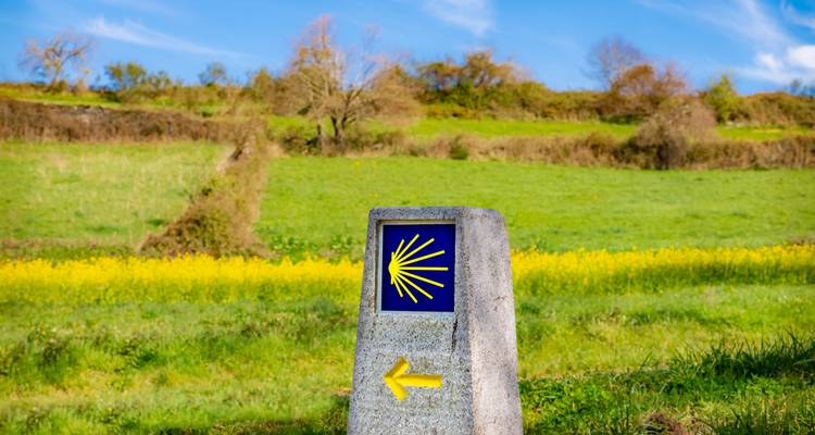Un marqueur de route en granit du Chemin de Saint-Jacques avec un symbole de coquille Saint-Jacques jaune se dresse dans une prairie rurale verdoyante.