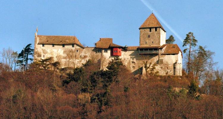 Castillo histórico en una colina con árboles.