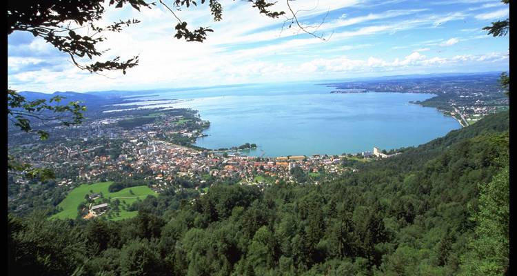 Vista aérea de una ciudad junto a un gran lago con abundante vegetación.