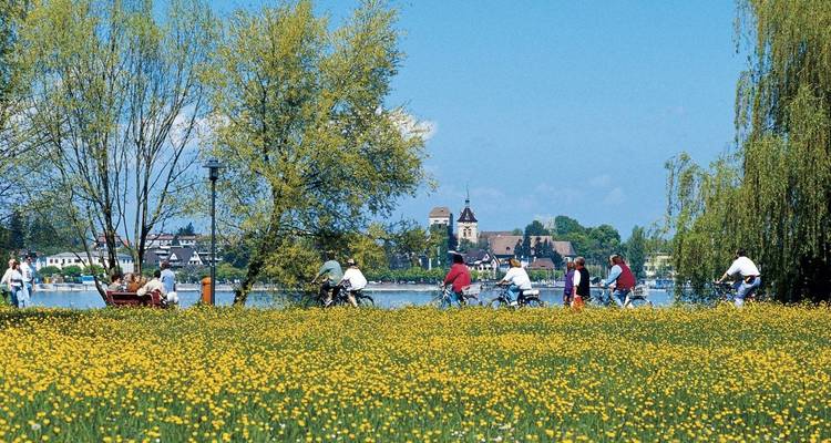 Highlights of Lake Constance by Bike - Exodus Adventure Travels 9