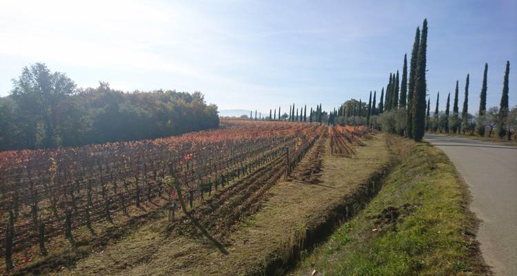 Le goût de la Toscane à vélo - Exodus Adventure Travels 3