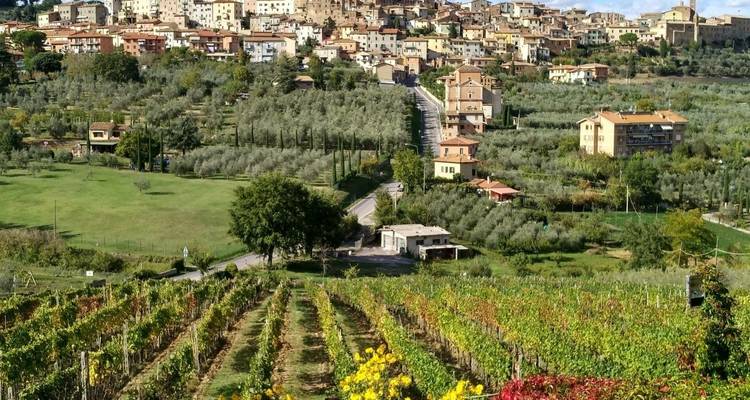 A Taste of Tuscany Self-Guided Walking - Exodus Adventure Travels 1