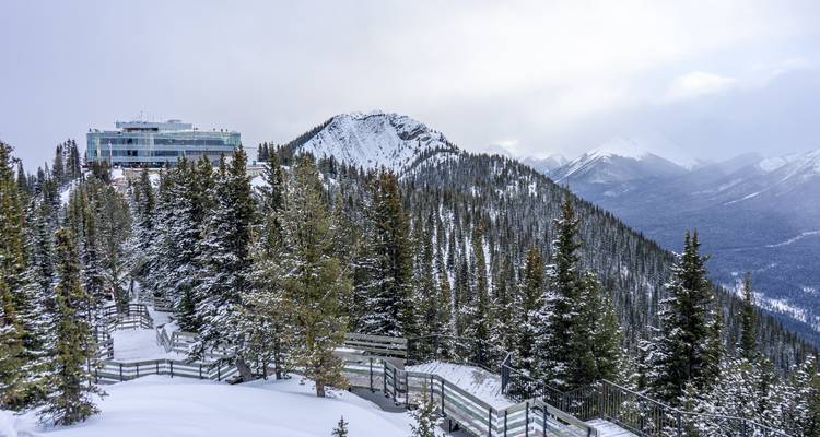 Excursion de Noël dans les Rocheuses - Discover Canada Tours 7