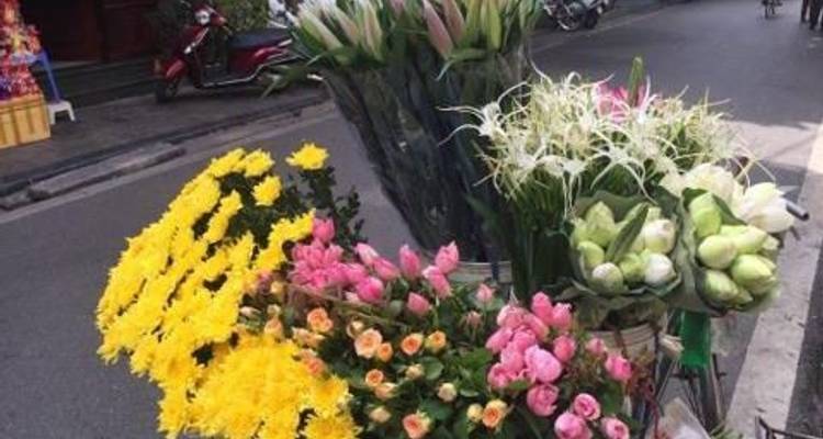 12 Days Ultimate Vietnam From Hanoi To Central and South - Vietnam Real Tour 3