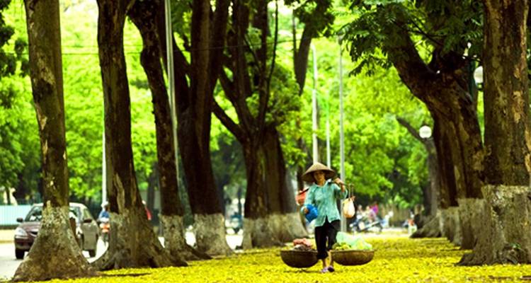 12 jours au Vietnam, de Hanoi au centre et au sud du pays - Vietnam Real Tour 10