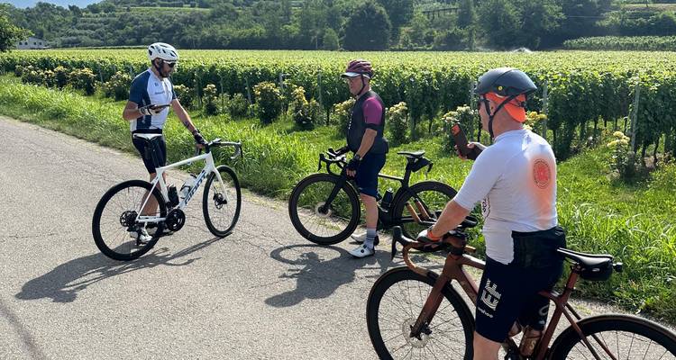 Fietsers maken een pauze naast zonnige wijngaarden, pratend terwijl ze op hun fietsen zitten.