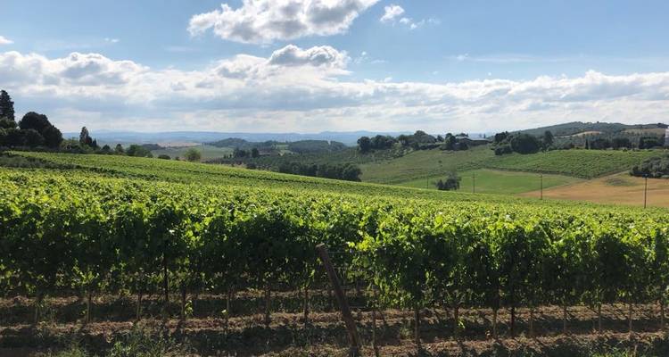 Vignobles du Piémont et mer Ligure - Circuit à vélo en petit groupe - Road Bike Tours Italy 2