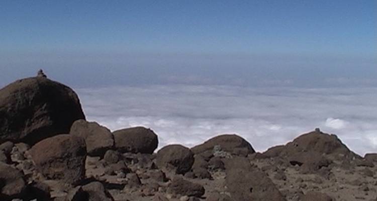 Kilimandjaro Northern Circuit Route Private Climbing 10 jours - Nomadic Adventures 6