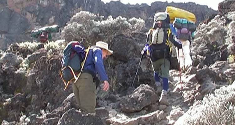 Kilimandjaro Northern Circuit Route Private Climbing 10 jours - Nomadic Adventures 2