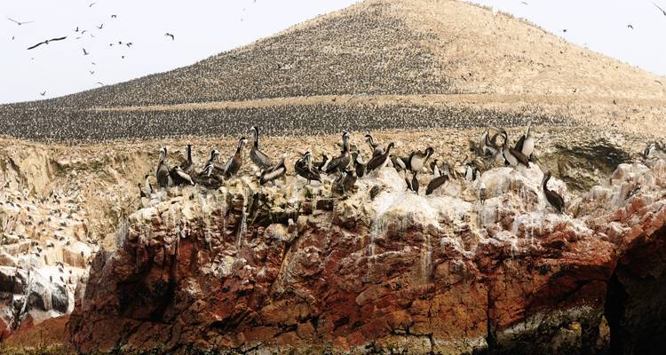 The Best of Southern Peru + Ballestas Islands, Ica - Huacachina Oasis & Nazca - Peru Trek 4 Good 3