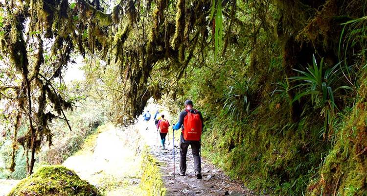 04 Day Classic Inca Trail to Machu Picchu - Small Group Service - Inkayni Peru Tours 8
