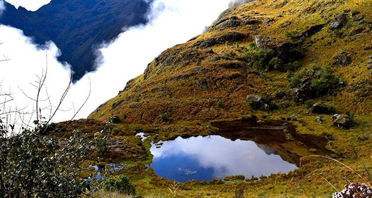 04 Day Classic Inca Trail to Machu Picchu - Small Group Service - Inkayni Peru Tours 7