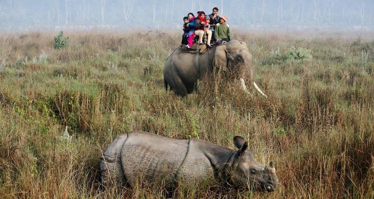 Kathmandu and Chitwan Wildlife - Panda Experiences 2